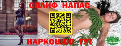 индика Будённовск