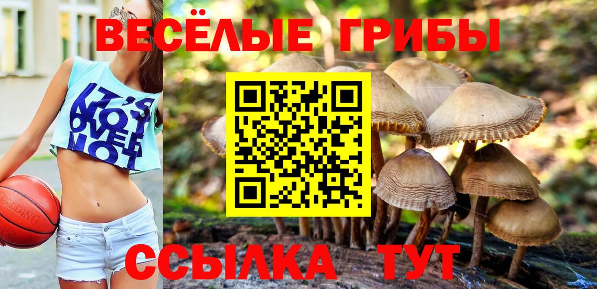 Псилоцибиновые грибы прущие грибы  Вход с VPN  Ревда 